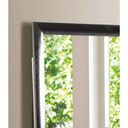 Passion Furniture Marilla Miroir de commode rectangulaire encadré moderne de 35 po x 39 po