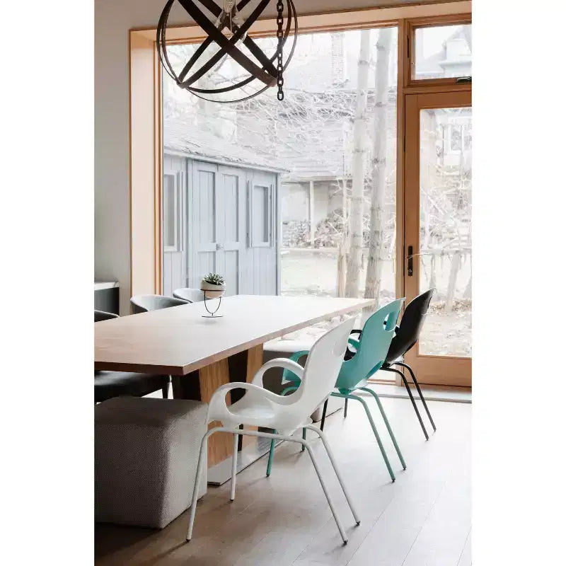 Chaise de salle à manger empilable, dossier incurvé, assise en polypropylène et pieds en acier, supporte 113 kg