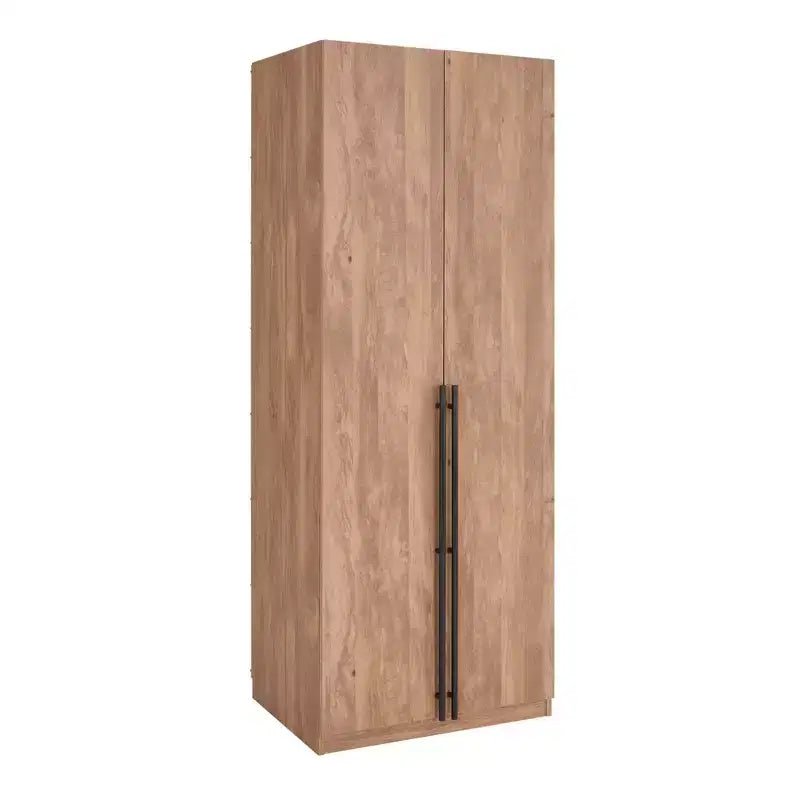 Armoire penderie 2 portes 4 étagères avec tringle et dispositif anti-basculement, 80 x 58 x 213 cm