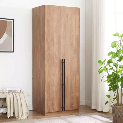 Armoire penderie 2 portes 4 étagères avec tringle et dispositif anti-basculement, 80 x 58 x 213 cm