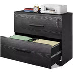 DEXYLLO 2-Drawer Wood Lateral File Cabinet with Lock, Filing Cabinet for Office & Home, Printer Stand with Anti-Tilt Mechanism